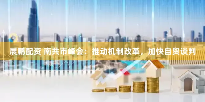 展鹏配资 南共市峰会：推动机制改革，加快自贸谈判