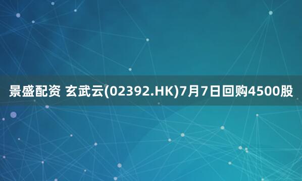 景盛配资 玄武云(02392.HK)7月7日回购4500股