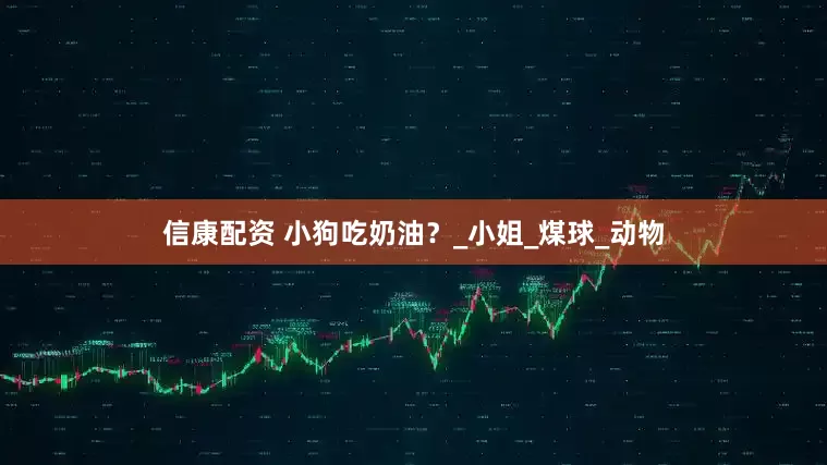 信康配资 小狗吃奶油？_小姐_煤球_动物