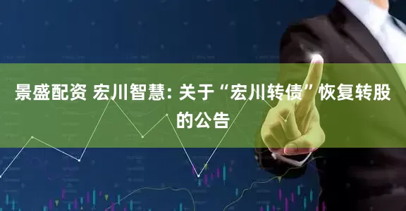 景盛配资 宏川智慧: 关于“宏川转债”恢复转股的公告